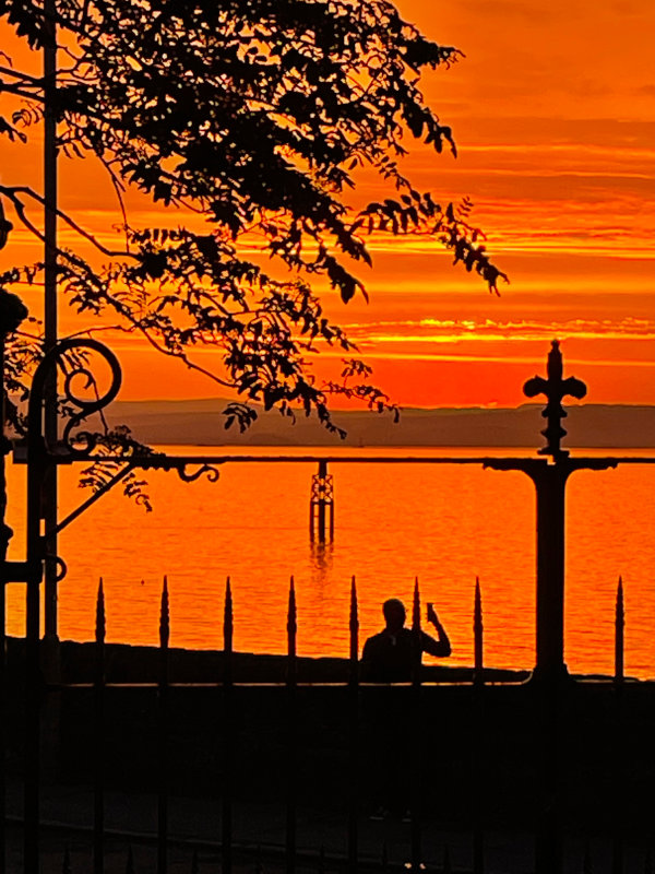 View from park at orange sunset